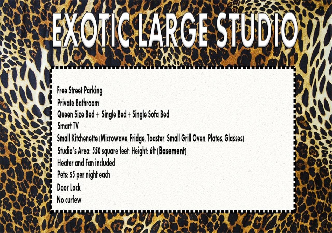 Готель Exotic Large Basement Studio Монреаль Екстер'єр фото